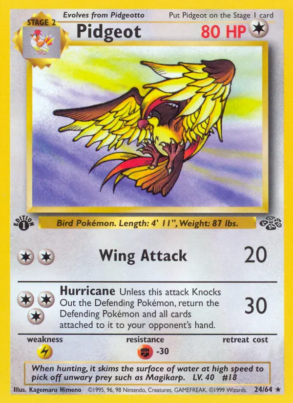 Pidgeot, First Edition Normal