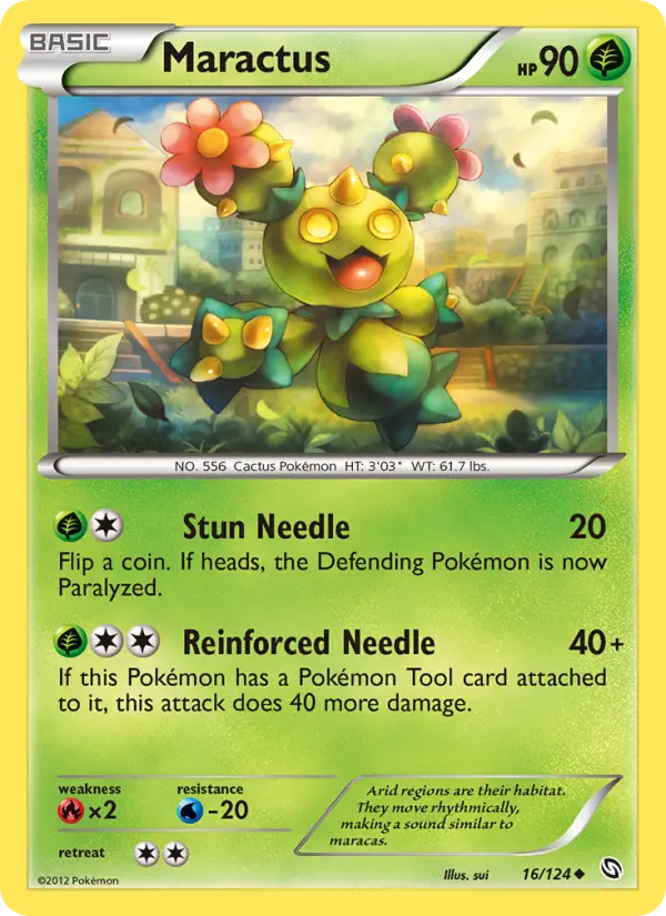 Maractus, Normal