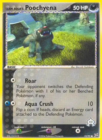 Team Aqua's Poochyena, Normal