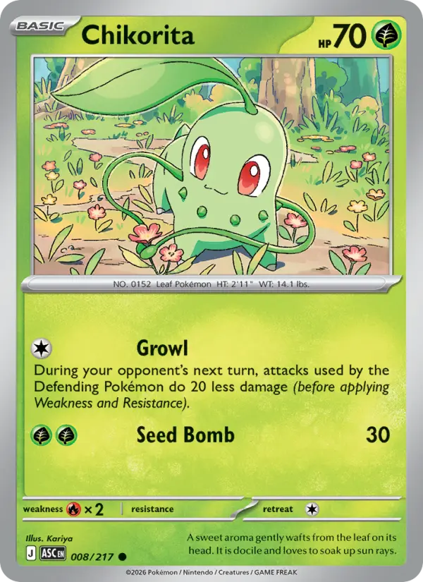 Chikorita, Normal