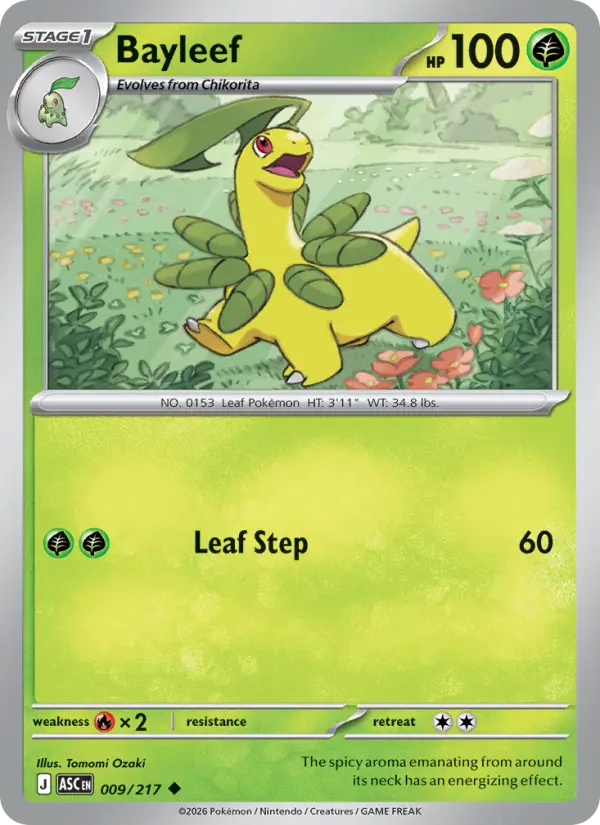 Bayleef, Normal