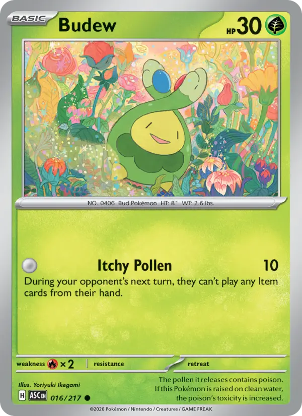Budew, Normal