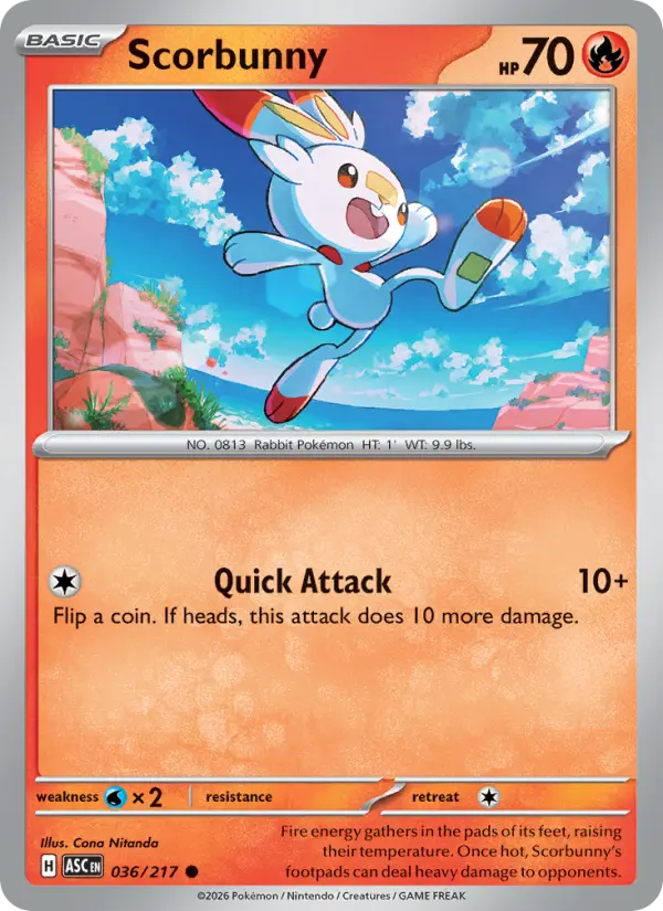 Scorbunny, Normal