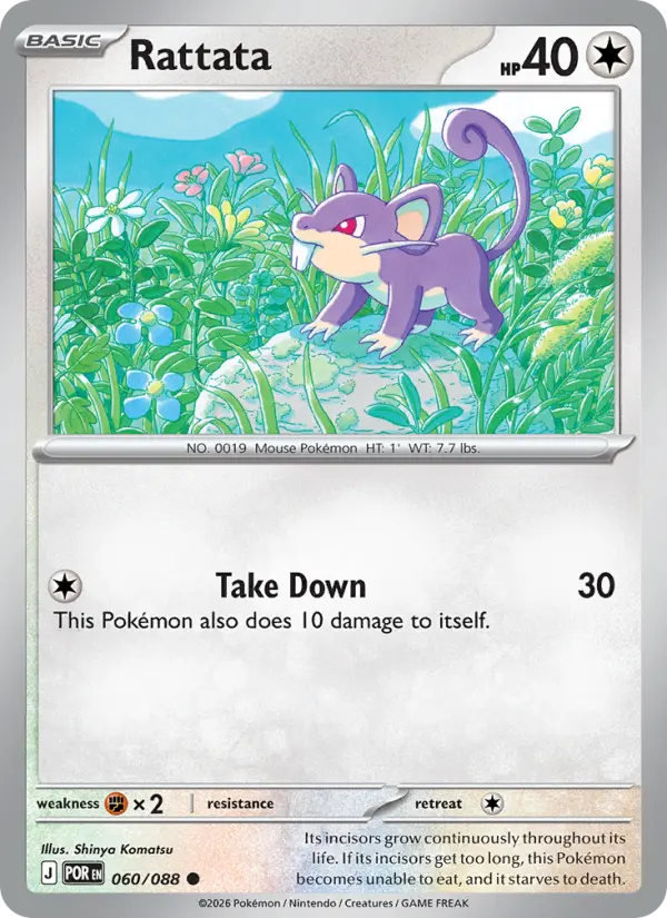 Rattata, Normal
