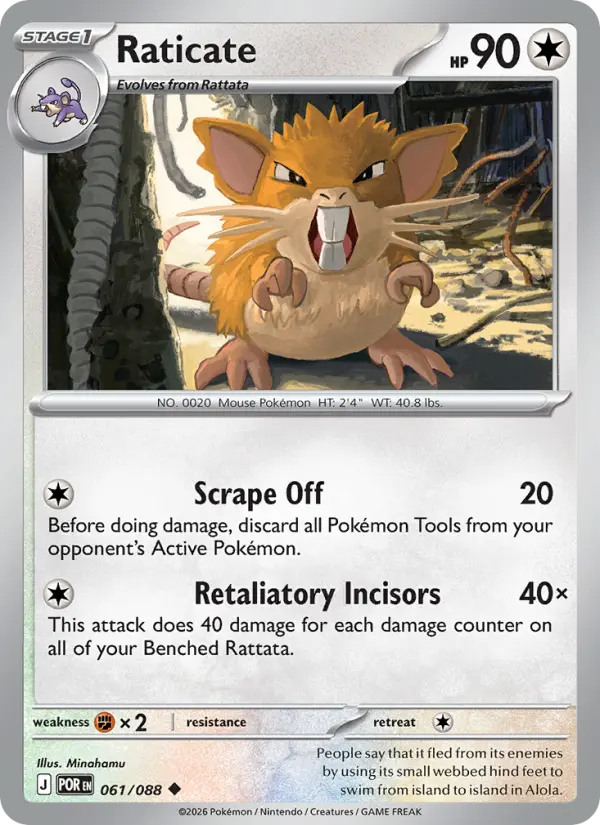 Raticate, Normal