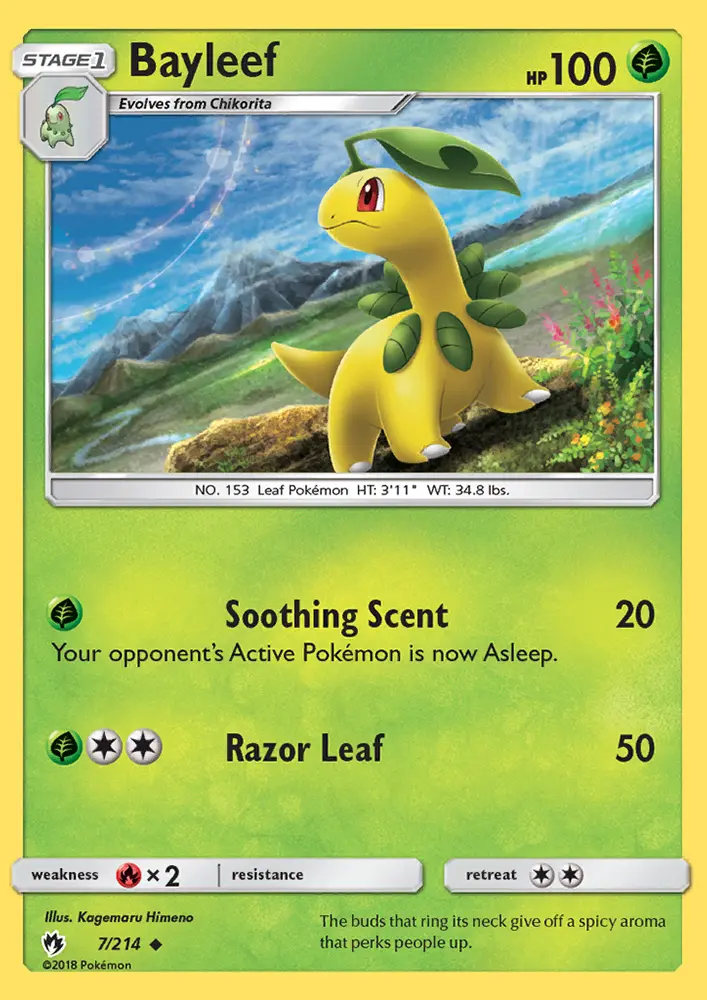Bayleef, Normal