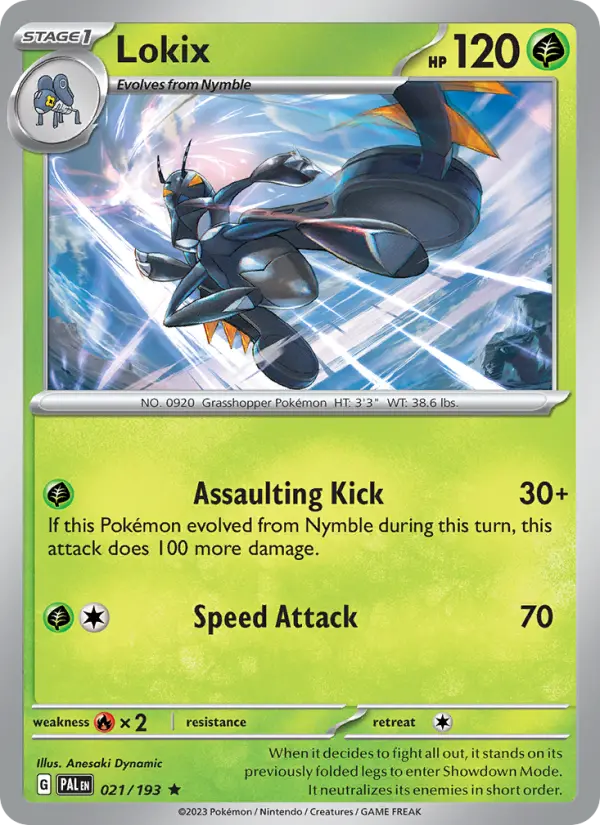 Lokix, Holo
