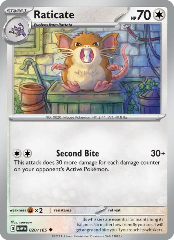 Raticate, Normal