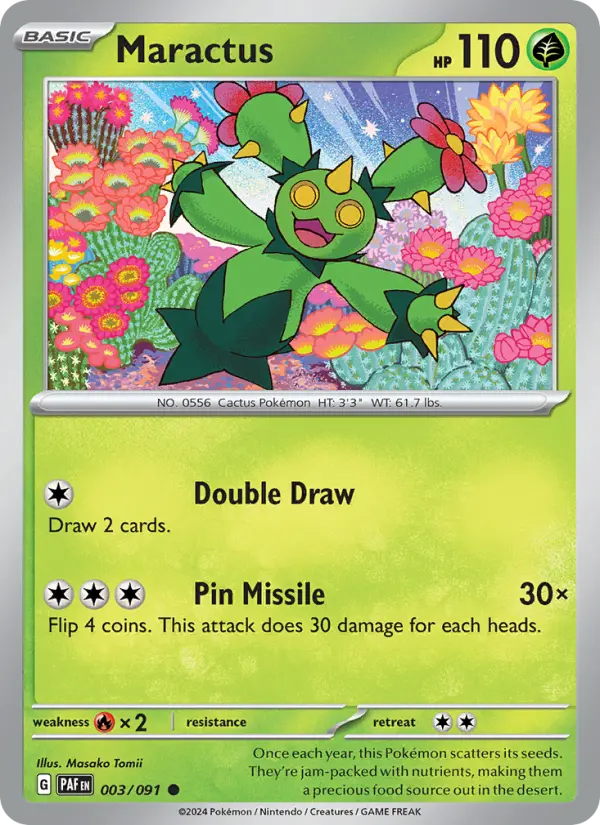 Maractus, Normal
