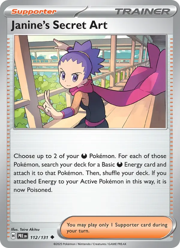 Janine's Secret Art, Normal