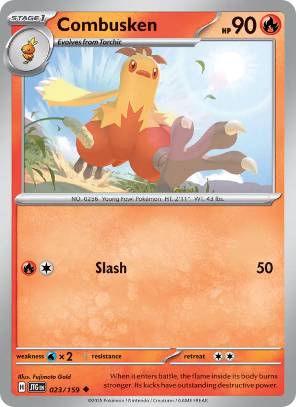 Combusken, Normal