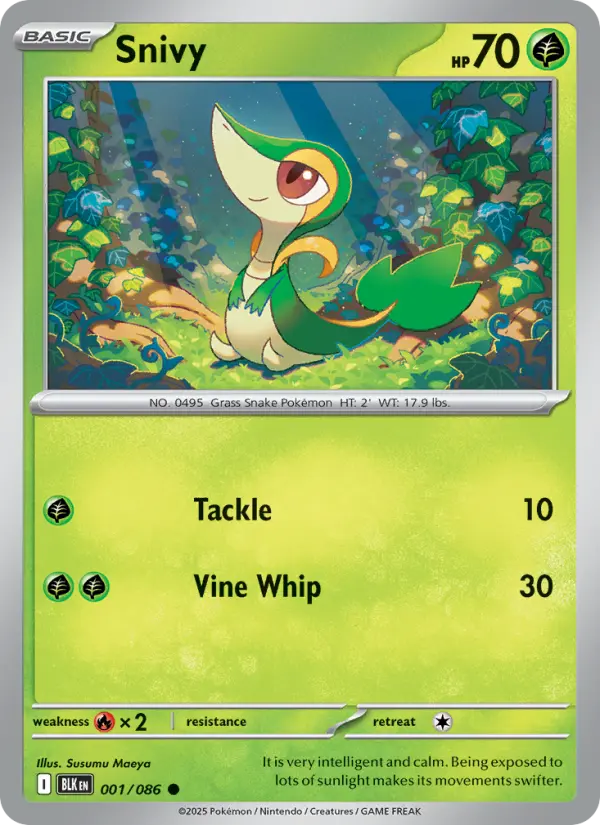 Snivy, Normal