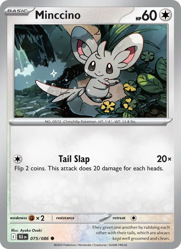 Minccino, Normal