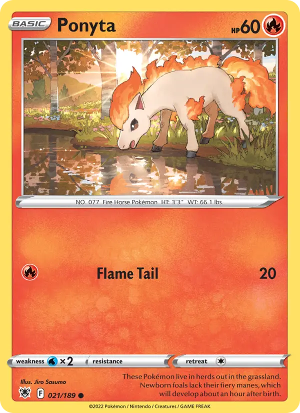 Ponyta, Normal