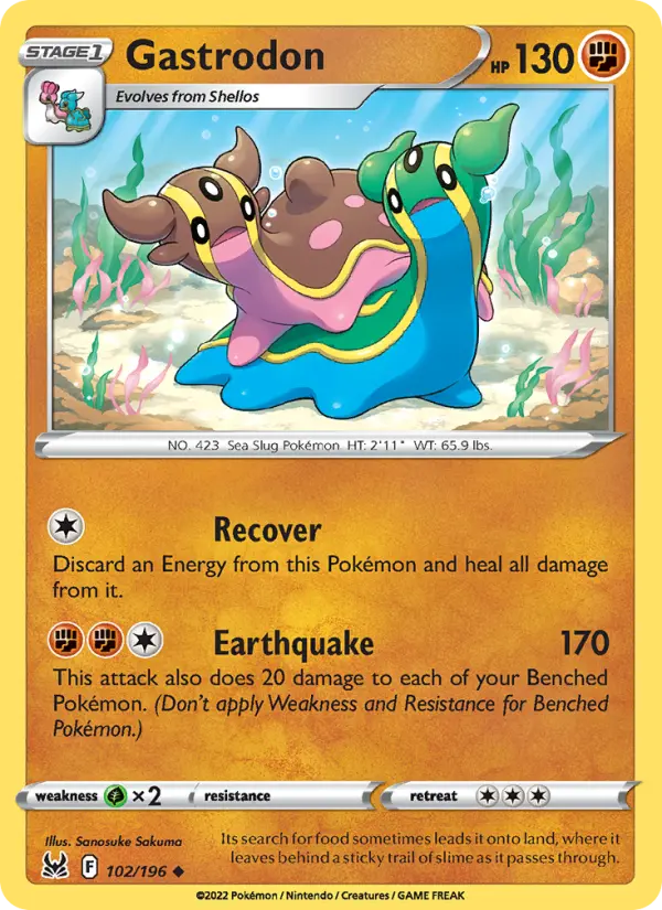 Gastrodon, Normal