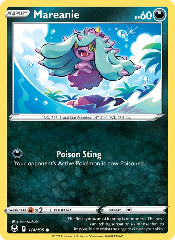 Mareanie, Normal