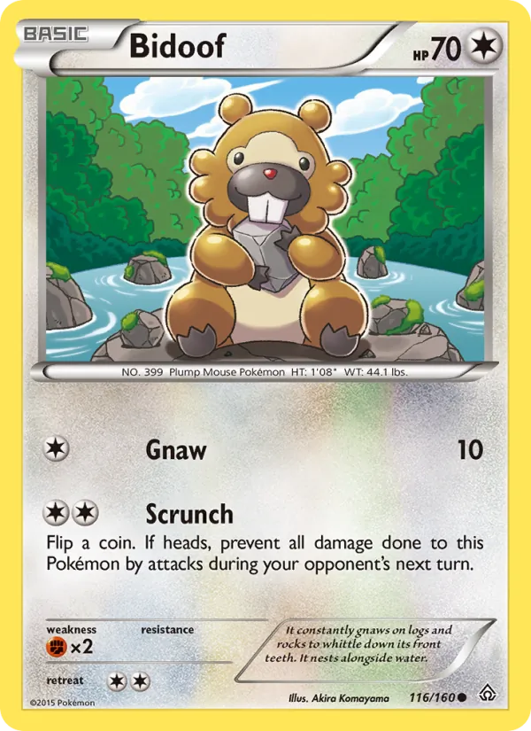 Bidoof, Normal