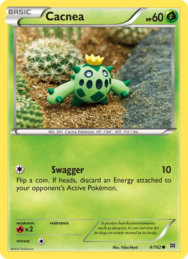 Cacnea, Normal
